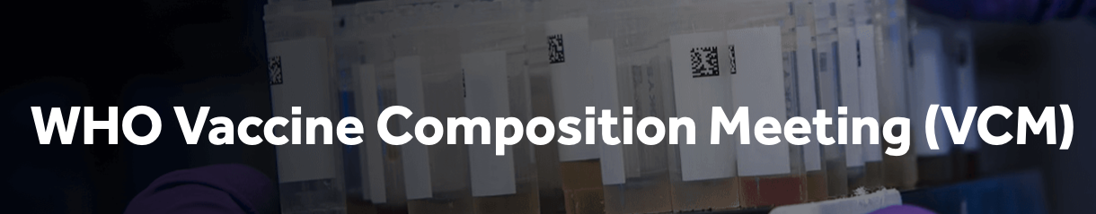 Vaccine Composition Meeting (VCM)  six-month report 