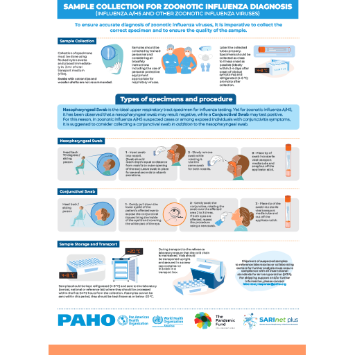 Infographic – Sample collection for zoonotic influenza diagnosis (Influenza A/H5 and other zoonotic influenza viruses)