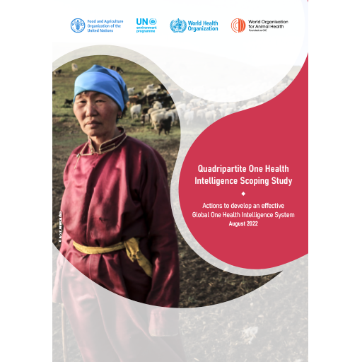 Quadripartite One Health Intelligence Scoping Study