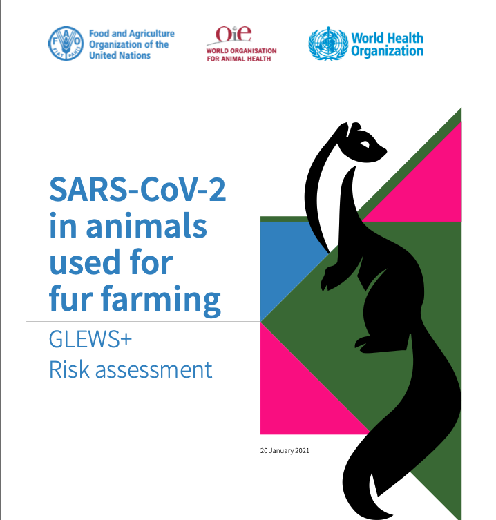 WHO 2019 nCoV-fur-farming risk assessment