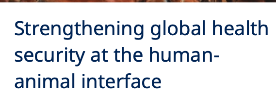 Strengthening global health security at the human-animal interface
