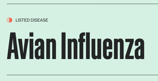 Monthly situation report on avian influenza